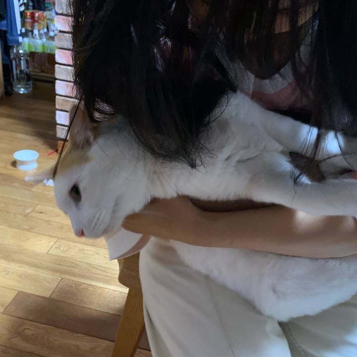 Cee8c1e5 98fa 407d 8b10 4f7df6f87feb 1627647634435