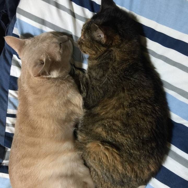 Cee8d674 0b6a 401c 9db4 3c92d111d4cb 1653607211442