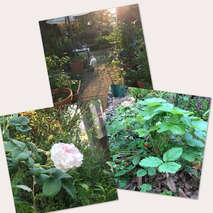 Cee8d6ea 2710 4db4 9797 887d592ba9ad 1525094403002