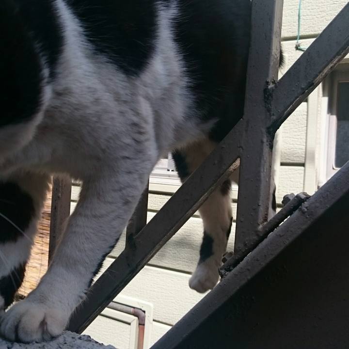 Cee8d8d3 3e0d 4d5c ba47 03dacdb0455b 1522549251297