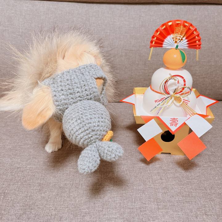 Cee97a35 7e74 4761 839a 4b6e80a785c4 1672994227217