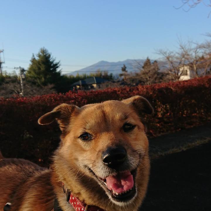 Cee981d8 d8f0 4941 b281 e11268d993fb 1543752770636