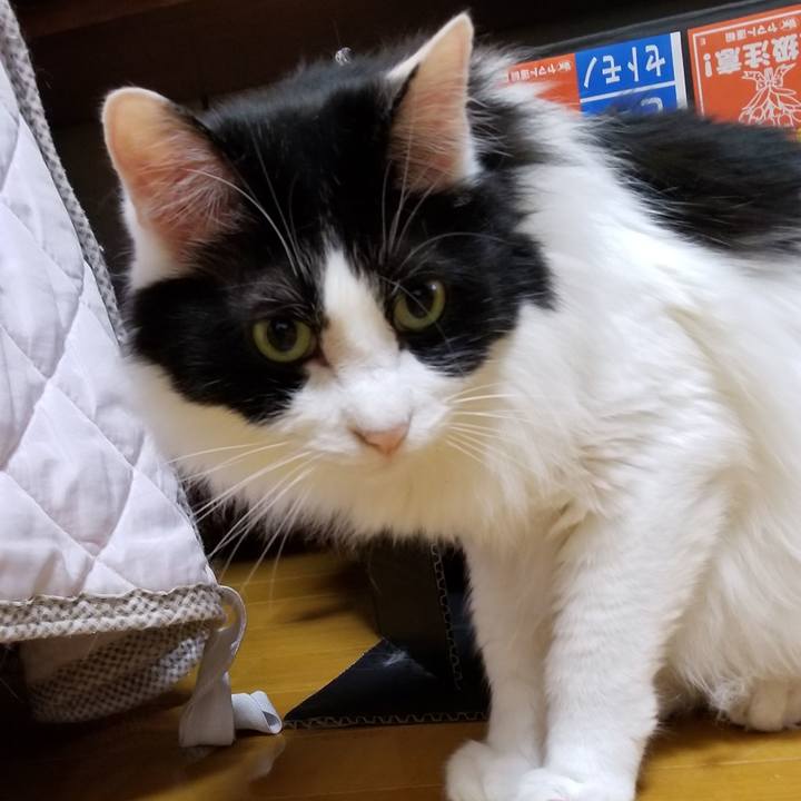 Cee9ac72 6b50 4aa2 a3fa 727128877658 1560170307041