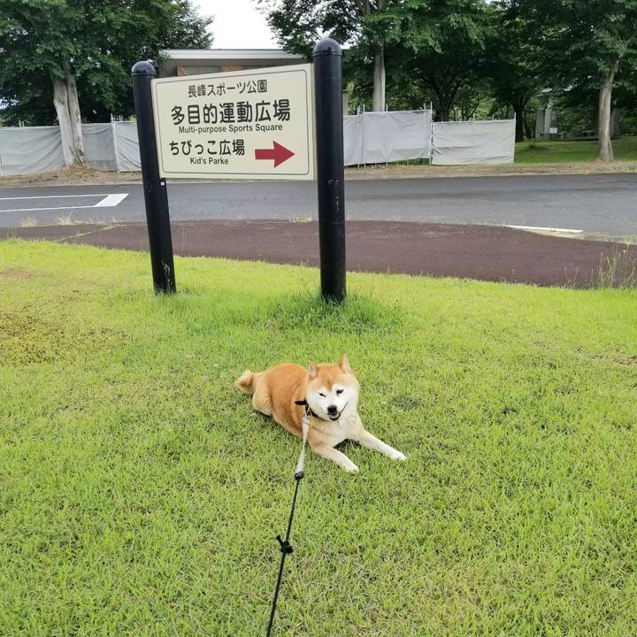 Cee9b90c 078f 4909 968b 1dbcbfdb31d2 1624518805459