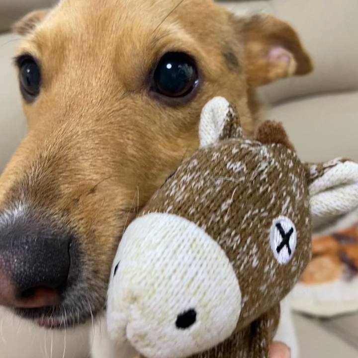 Cee9bb93 b7f9 4f05 9211 f8a1f384c5bd 1770444658968