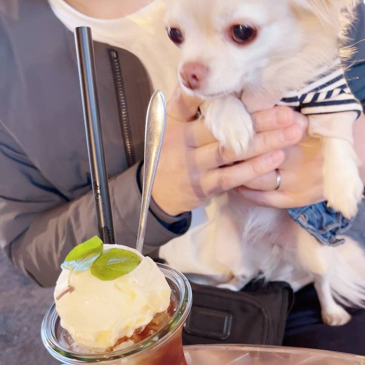 Cee9c553 7e39 493a afe4 40064e84c5dd 1732329854048