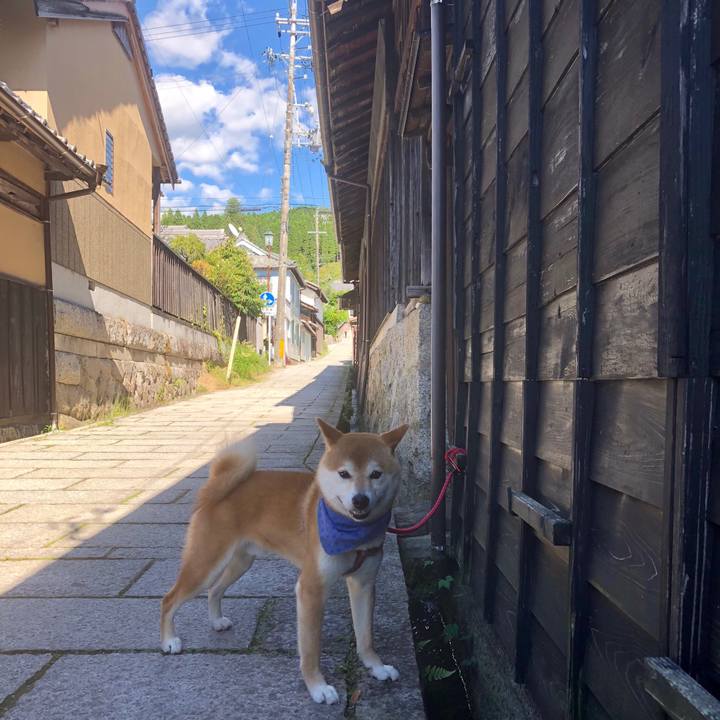 Cee9cea7 1e50 43fe a008 0e1f01e00cfe 1528873202356