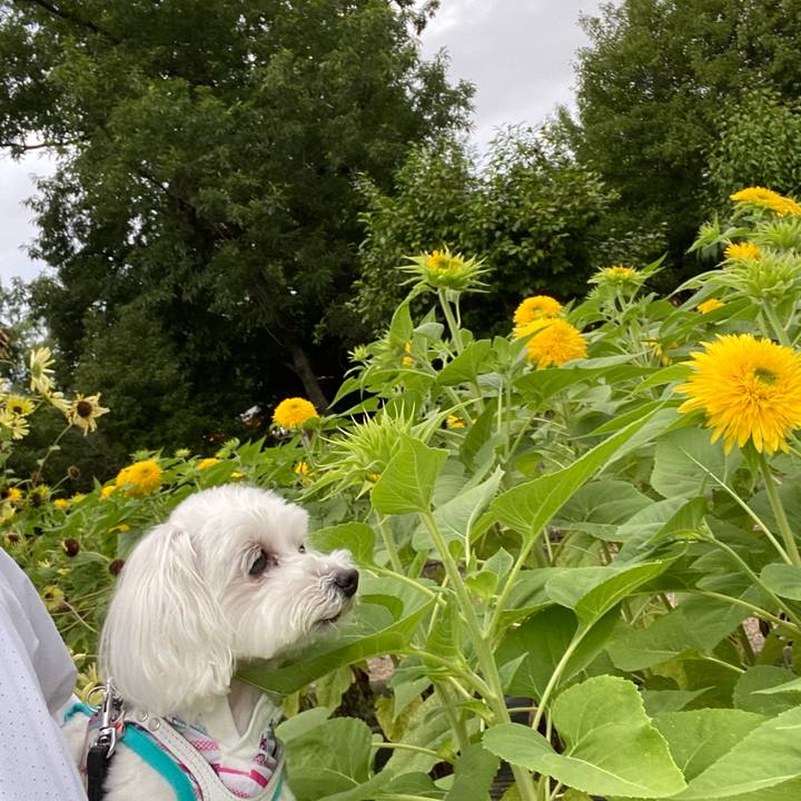 Cee9dd80 bd33 4e91 9a92 6d8cbe1461db 1657375628911