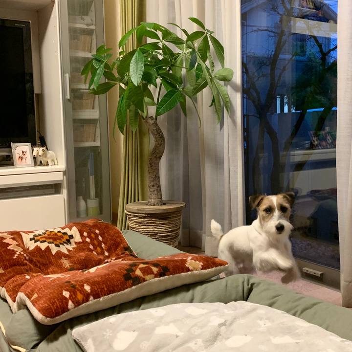 Ceea2a4b b263 4d1f 8022 b6ee6b38304f 1577692124280