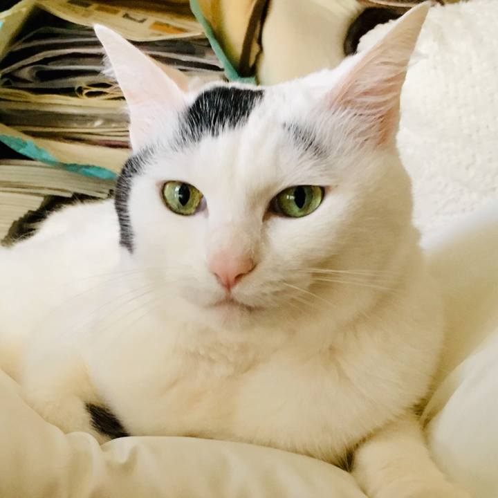 Ceea4f9a 72d0 4612 9664 160b5d32e7da 1556228916947