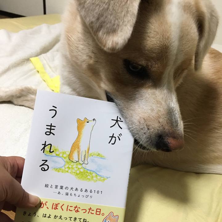 Ceea69ed 2225 4c94 8ed2 99dff2004dc9 1537171957505