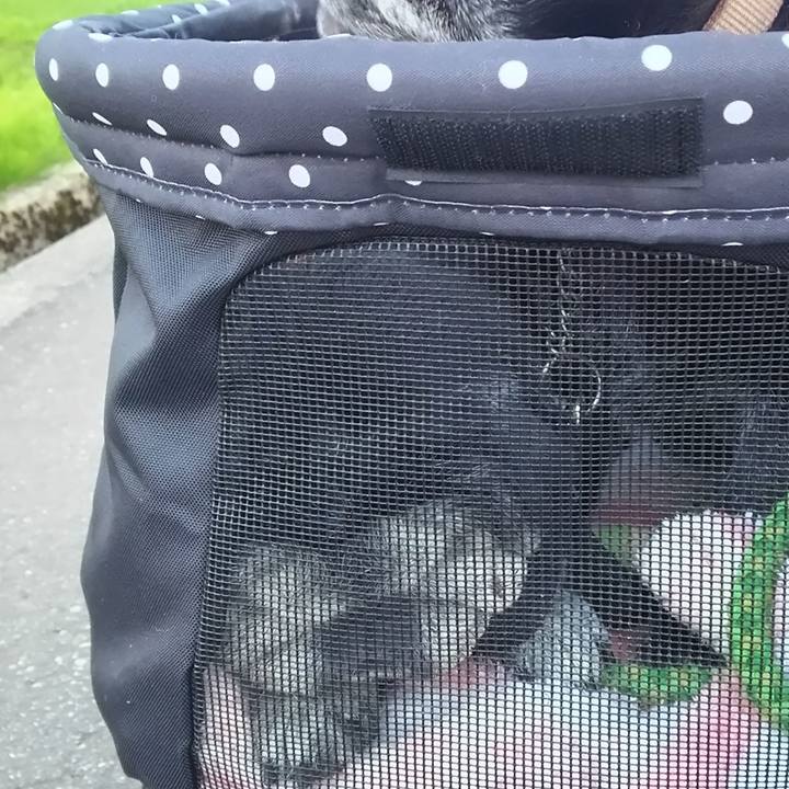 Ceea84f3 ebc7 4885 a415 76b16e65bc64 1558381412240