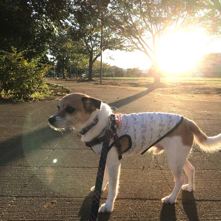 Ceea931c 5f1a 4628 9578 9a385e879806 1570228214841