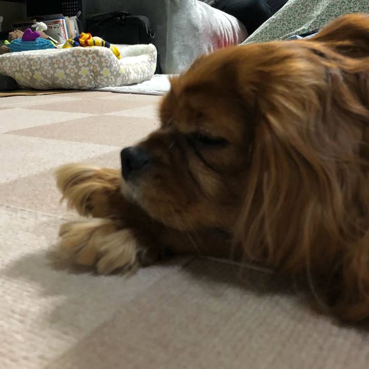 Ceeacc96 b8c1 4a4b 9451 2624b1260837 1643714778936