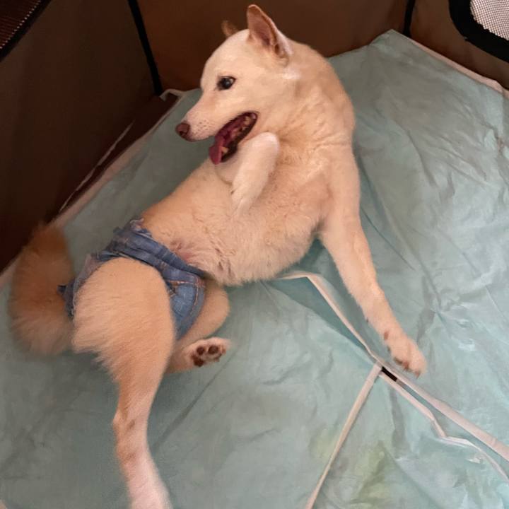 Ceeacd5d 74bd 4dfe 831b 4982a12eabf7 1655269599968