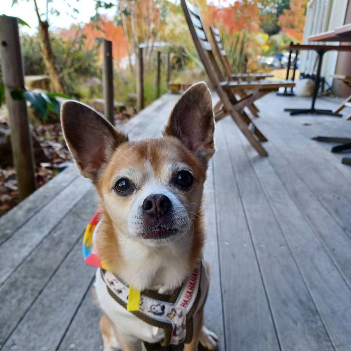 Ceeadc7f 62a7 455f 8230 3fe326daeb8d 1763781003162