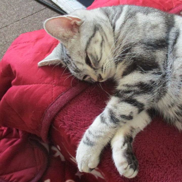 Ceeaeb62 83ee 4f1a 8a09 778fed76d9ba 1552119142194