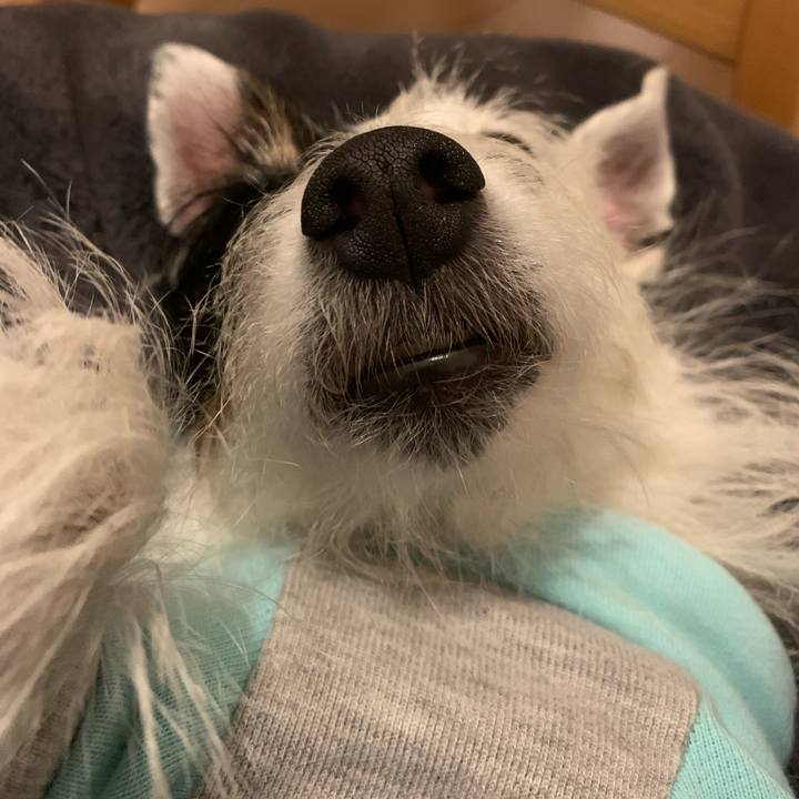 Ceeafc67 9dc3 4c64 aa05 88959b242757 1668863033706