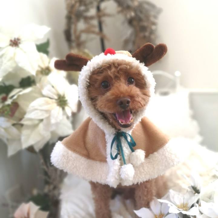 Ceeb1b68 ab35 4537 a3e8 c1e3a4202623 1670147816154