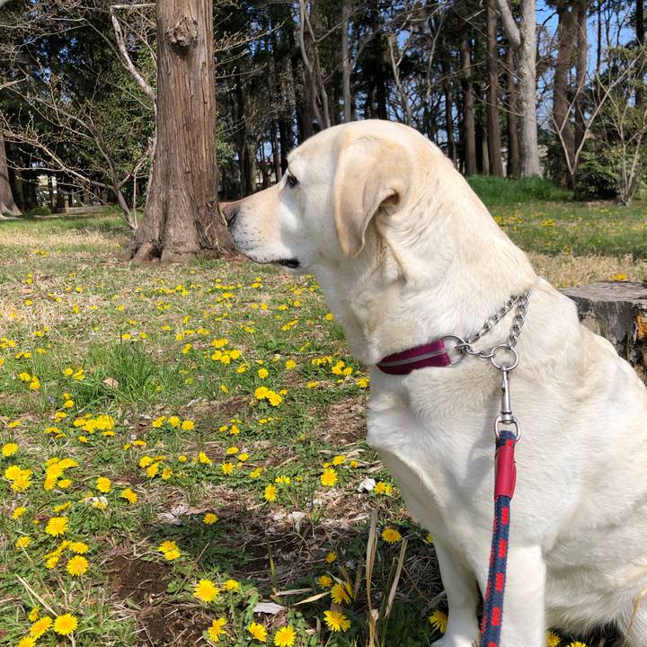 Ceeb2bf8 2307 4d86 874a caf3f974ba3c 1648863460087