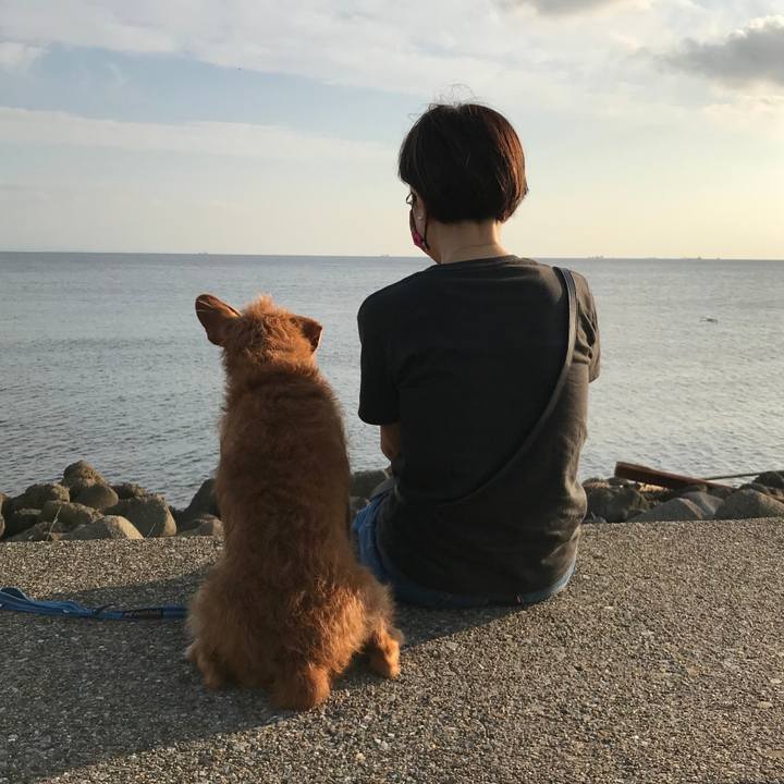 Ceeb65fe 2b6a 4a9d b903 20b96c6a2957 1631699652897