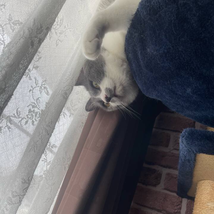 Ceeb6cce efe3 4103 849c 292ed2a65595 1686109414920