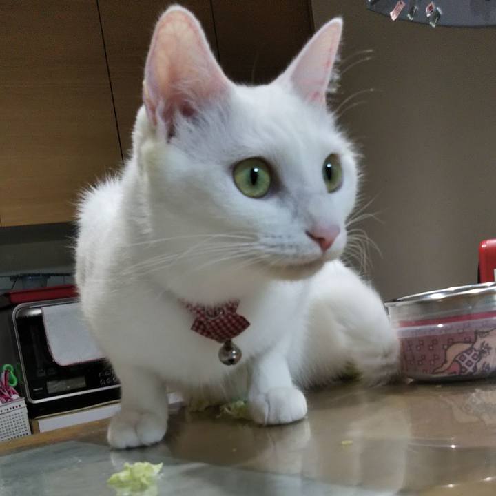 Ceeb76b1 99f0 4ed5 8dff 774946474665 1637102049553