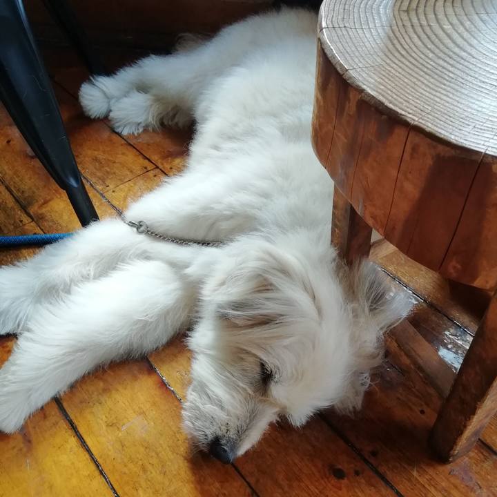 Ceeb8c56 36c1 4b82 b1d1 f469cdaee3d9 1564892710396