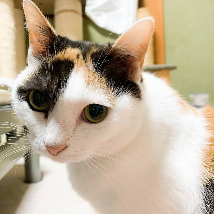 Ceeb9ffe e9d0 4209 a764 3dd2be569d1e 1576805950995