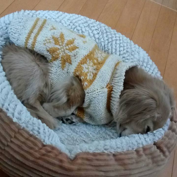 Ceebc4e4 40da 4085 b3fb a9b56a954a71 1553929608796