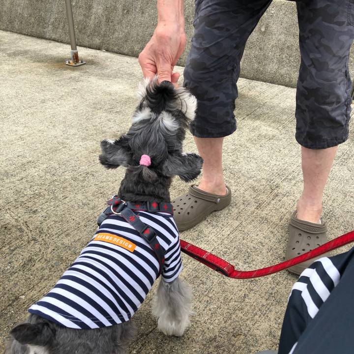 Ceebd6c3 bf92 428d a197 cad1ebf88a7a 1664004648007