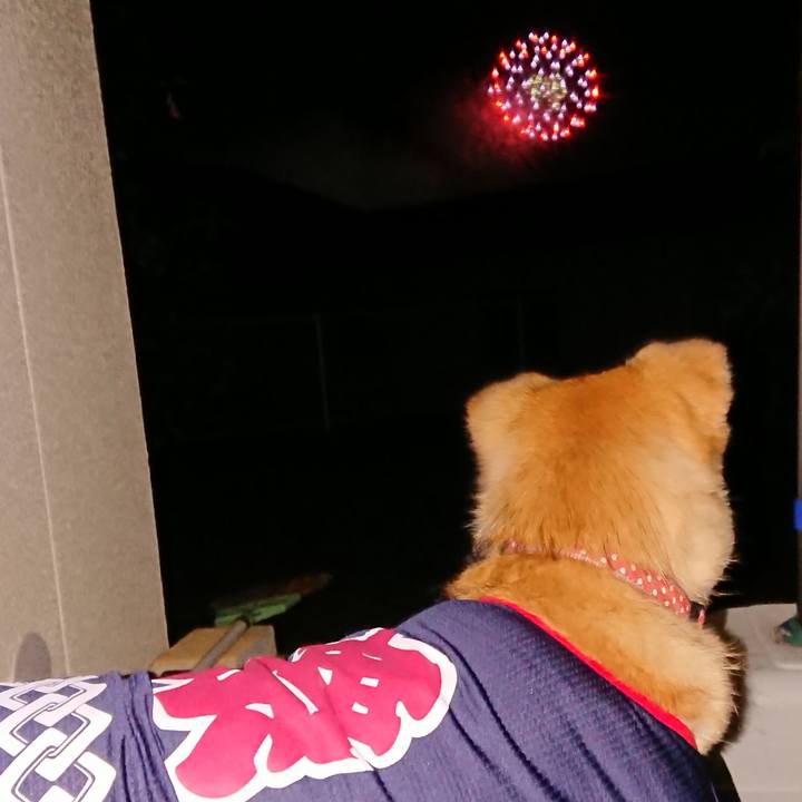 Ceebd7d9 6e55 456f 9a70 deaf41bff061 1596885072018