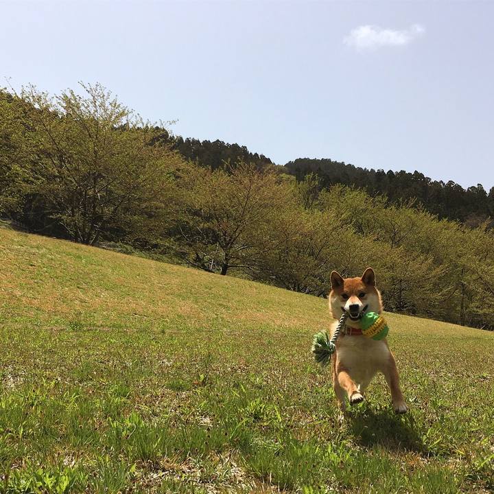 Ceec3753 69f7 459d 98ea ee497f8b7207 1524651889072