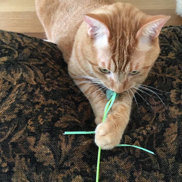 Ceec46a1 9f37 4026 a239 3e3726aecd8c 1597324318399