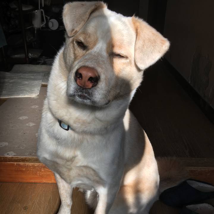 Ceec531d 1c76 4494 959c 26a2a655a438 1516496278131