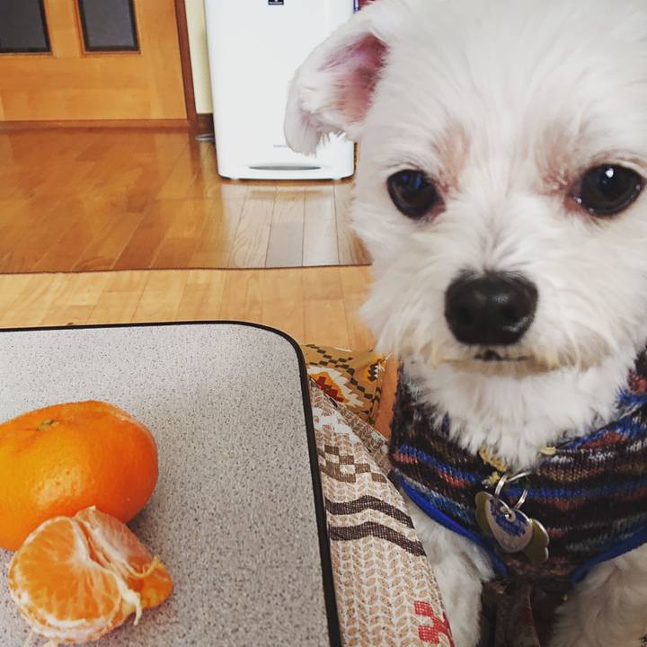 Ceec5490 1108 47b5 8886 c7bb59f32920 1545363942401