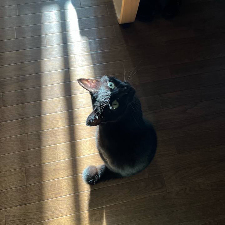 Ceec6742 de57 43eb a2ae c4027b676d14 1697676080548