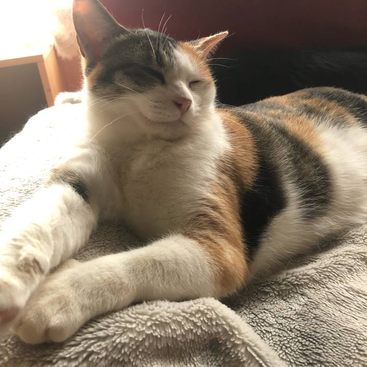 Ceec7abd 8359 48fc 8833 6d56c857958f 1607817691044