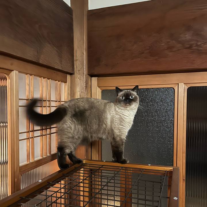 Ceec85cf 214e 4d06 aeff 5e03f331cb6f 1695523962399