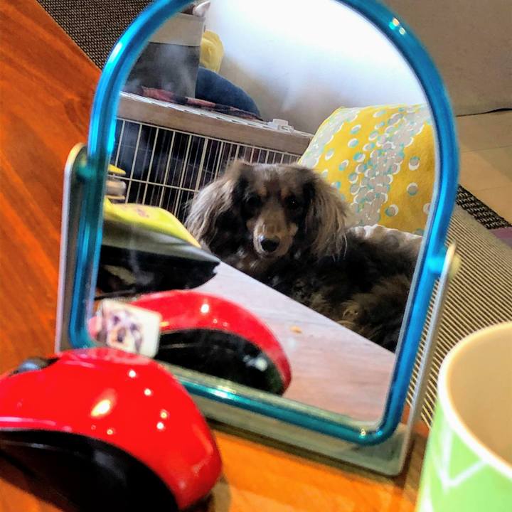 Ceec97cb e69b 4262 b339 1dbc838f6e73 1581394258497