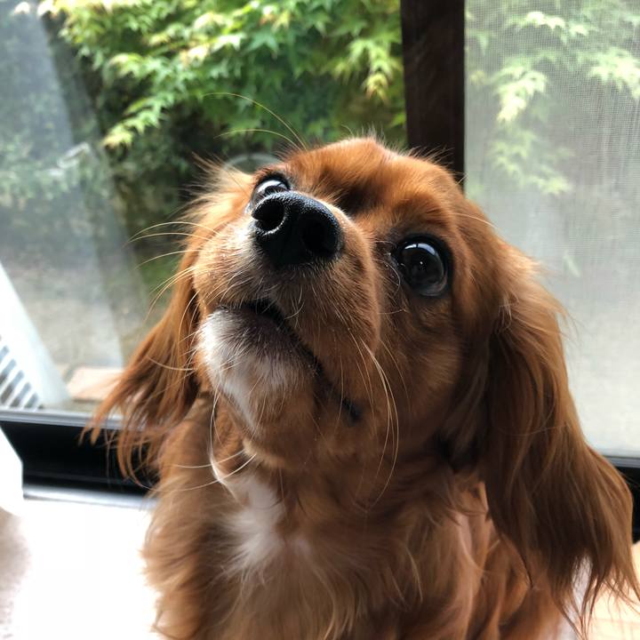 Ceecad58 0902 48ff a83c b769b67f12a3 1524693609780