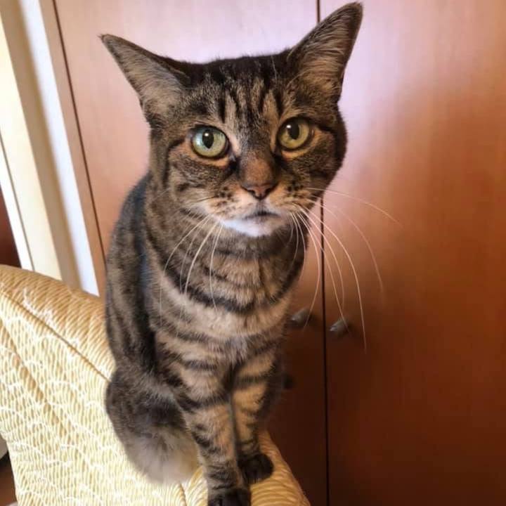 Ceecf539 0b91 4b45 adba aee38a75eb7c 1762310435054