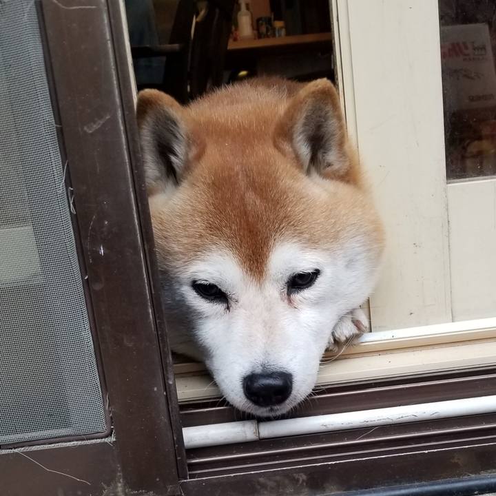 Ceed26cf 446d 4641 a3c8 32954a96e322 1619595435643