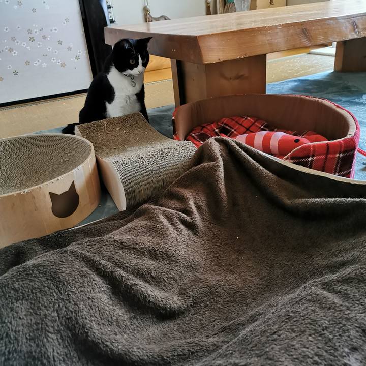 Ceed4cc0 13e6 4d75 8495 c0a516486d27 1636883996789