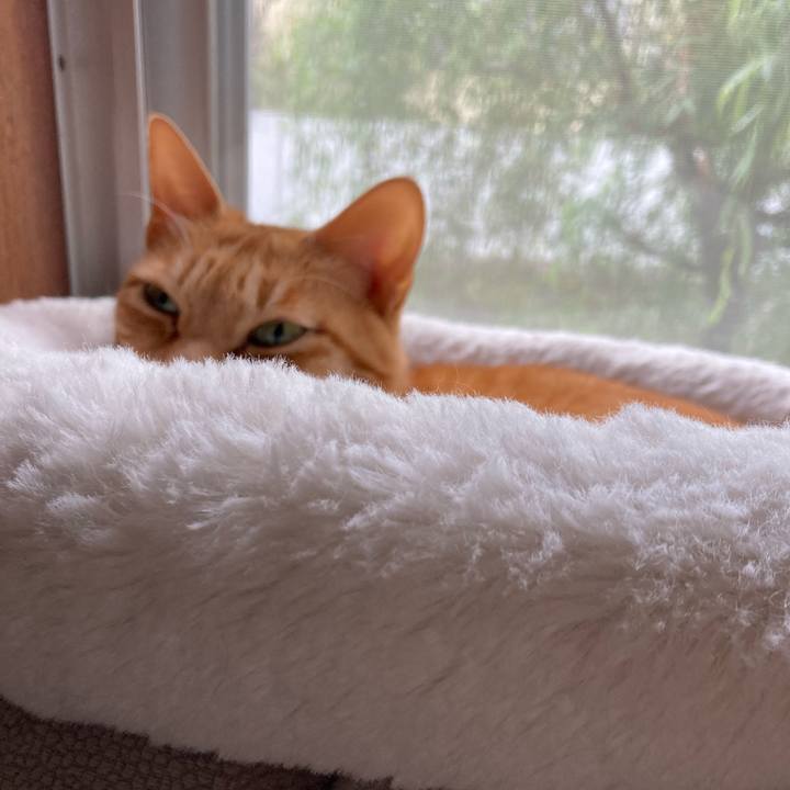 Ceed6301 4b6d 4fea 91ab a70d59abc57c 1618357505400