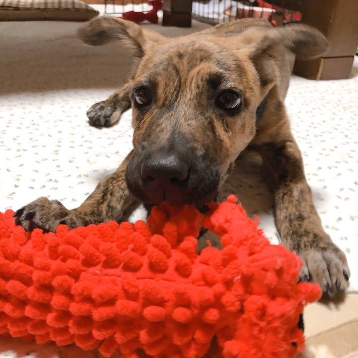 Ceed74f5 2a5f 4d20 8724 74eec6226c11 1568301123894