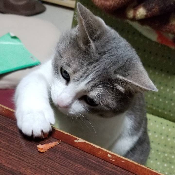 Ceed7f69 ab60 4183 8100 1ecbd2437b45 1526463965224