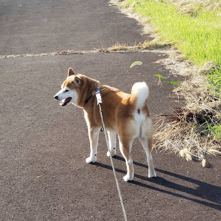 Ceed896e 559e 4f50 9bc6 0b1ccdbf4e79 1568038820905