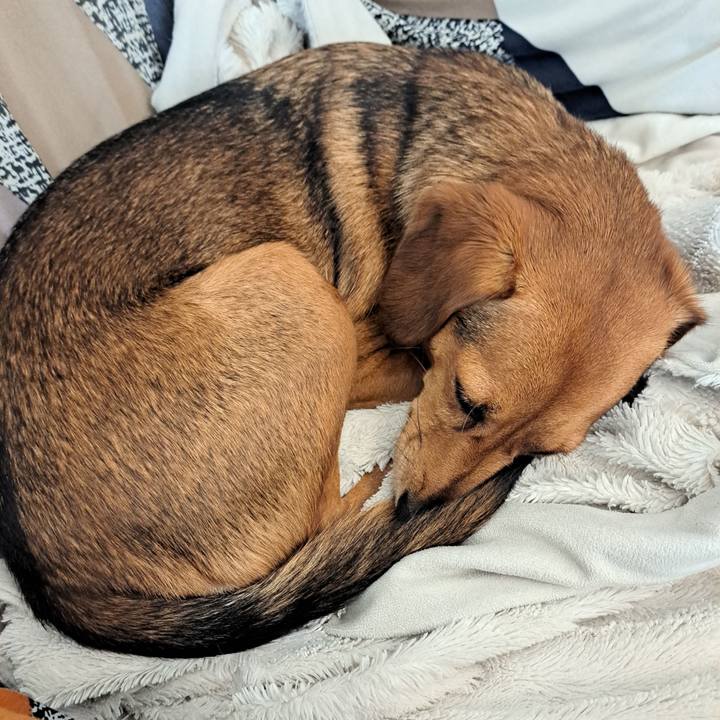 Ceed9b50 3c70 4cee bfa6 6fb35ce88b50 1758417824751