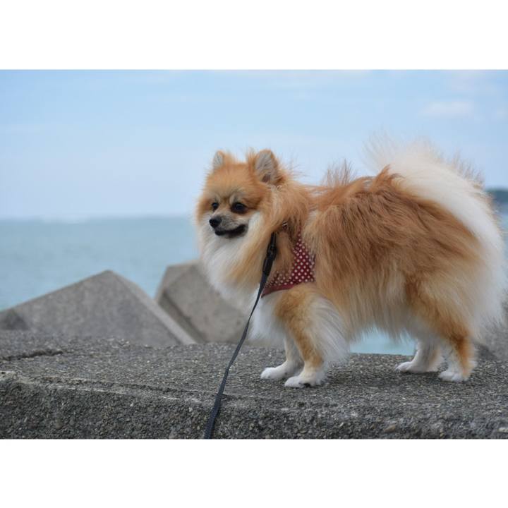 Ceedb566 83ec 4a1c a009 74944009b438 1530195665500